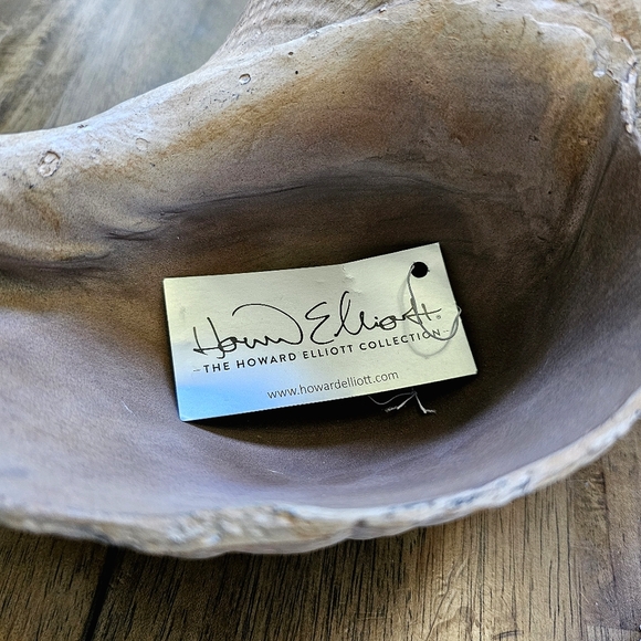 Horse Conch Seashell Decor Bowl - Picture 8 of 10